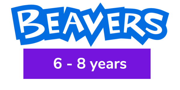 Beavers